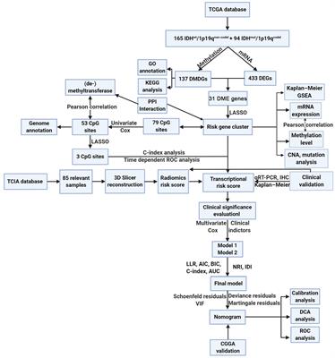 A Novel Multi-Omics Analysis Model for Diagnosis and Survival Prediction of Lower-Grade Glioma Patients